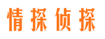 平和侦探公司